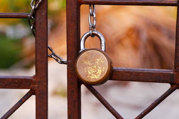 Zaeune im Neubau so treffen Sie die richtige Entscheidung